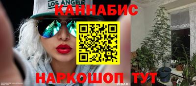 дмт Рязань