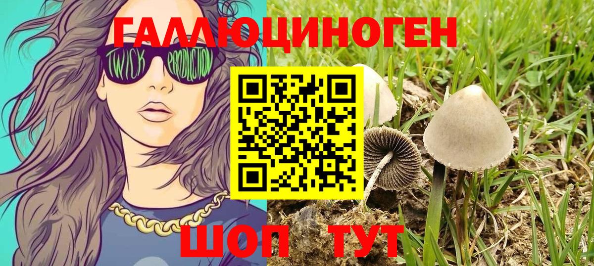 Галлюциногенные грибы мухоморы Нефтекумск
